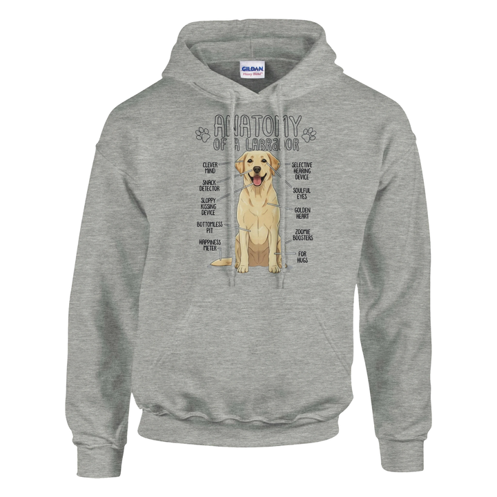 Ash - Anatomy of a Yellow Lab hoodie, plain front view on white