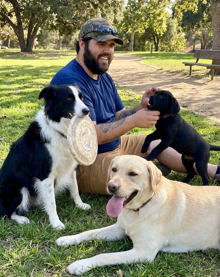The Together Tees pack — Border Collie, Yellow Lab, and Black Lab puppy