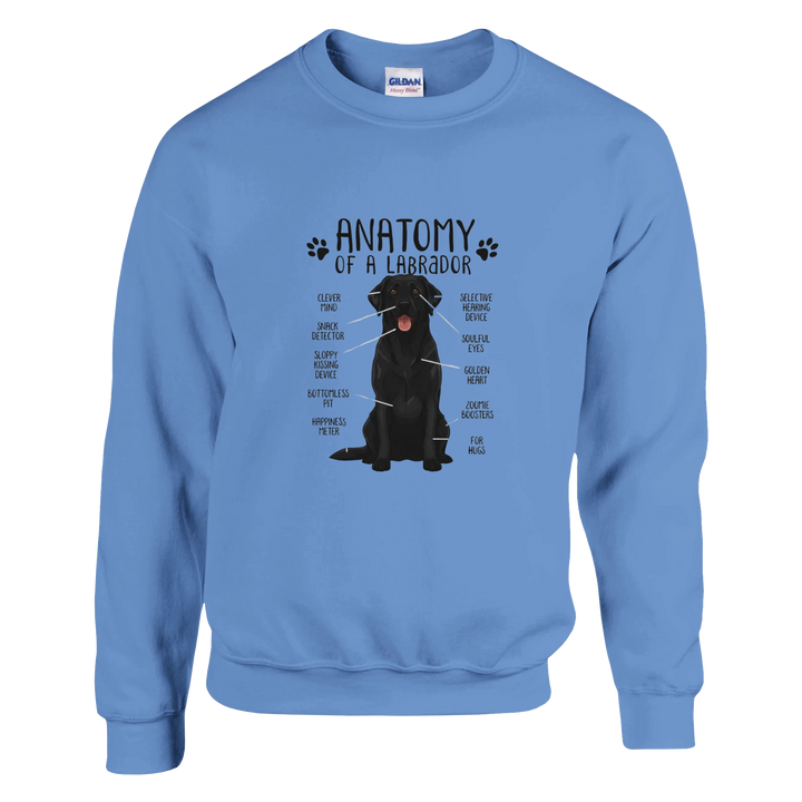 Carolina Blue - Anatomy of a Black Lab sweatshirt, plain front view on white