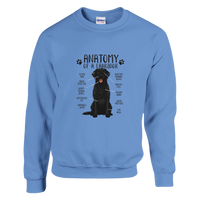 Load image into Gallery viewer, Carolina Blue - Anatomy of a Black Lab sweatshirt, plain front view on white
