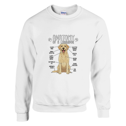 White - Anatomy of a Yellow Lab sweatshirt, plain front view on white