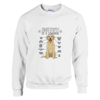 Load image into Gallery viewer, White - Anatomy of a Yellow Lab sweatshirt, plain front view on white
