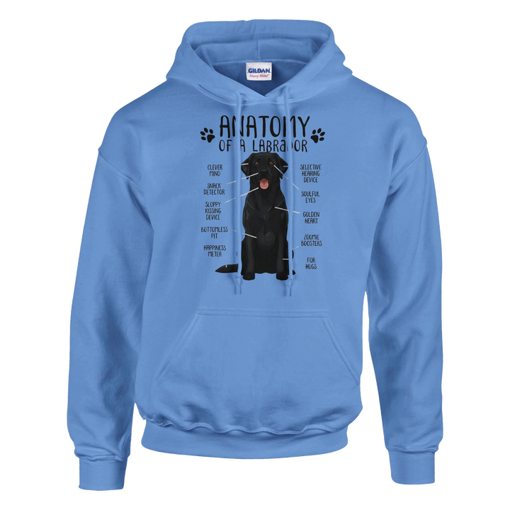 Carolina Blue - Anatomy of a Black Lab hoodie, plain front view on white