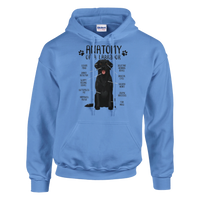 Load image into Gallery viewer, Carolina Blue - Anatomy of a Black Lab hoodie, plain front view on white
