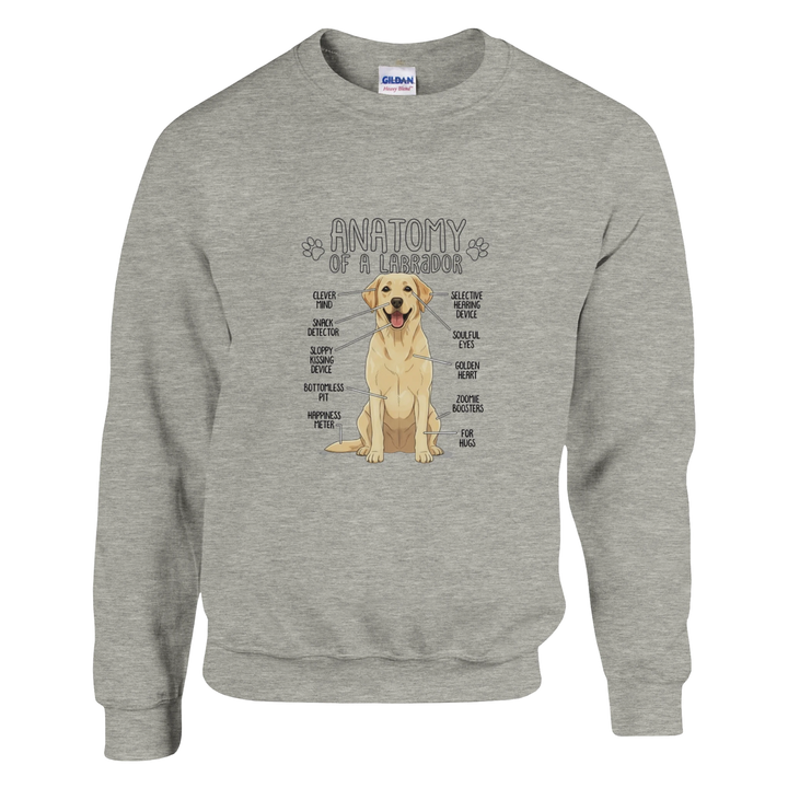 Ash - Anatomy of a Yellow Lab sweatshirt, plain front view on white
