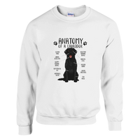 Load image into Gallery viewer, White - Anatomy of a Black Lab sweatshirt, plain front view on white
