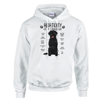 Load image into Gallery viewer, White - Anatomy of a Black Lab hoodie, plain front view on white
