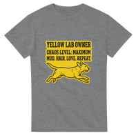 Load image into Gallery viewer, Sport Grey - Yellow Lab Chaos Level tee, plain front view on white
