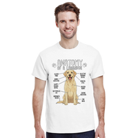 Load image into Gallery viewer, White - Anatomy of a Yellow Labrador tee, worn by a man, plain light background
