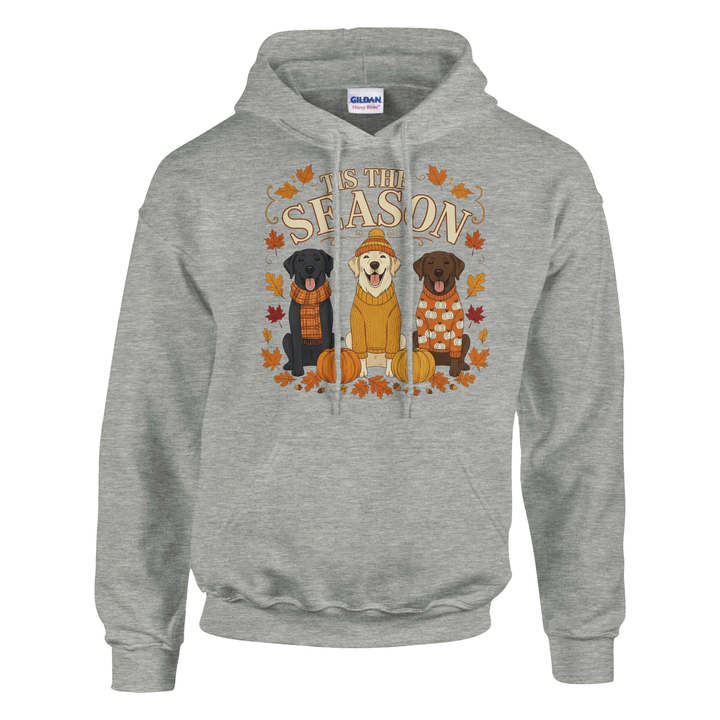 Ash - Tis the Season Fall Labs hoodie, plain front view on white