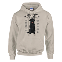 Load image into Gallery viewer, Sand - Anatomy of a Black Lab hoodie, plain front view on white

