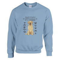 Load image into Gallery viewer, Light Blue - Anatomy of a Yellow Lab sweatshirt, plain front view on white
