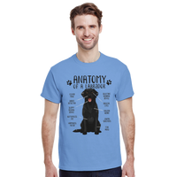 Load image into Gallery viewer, Carolina Blue - Anatomy of a Black Labrador tee, worn by a man, plain light background
