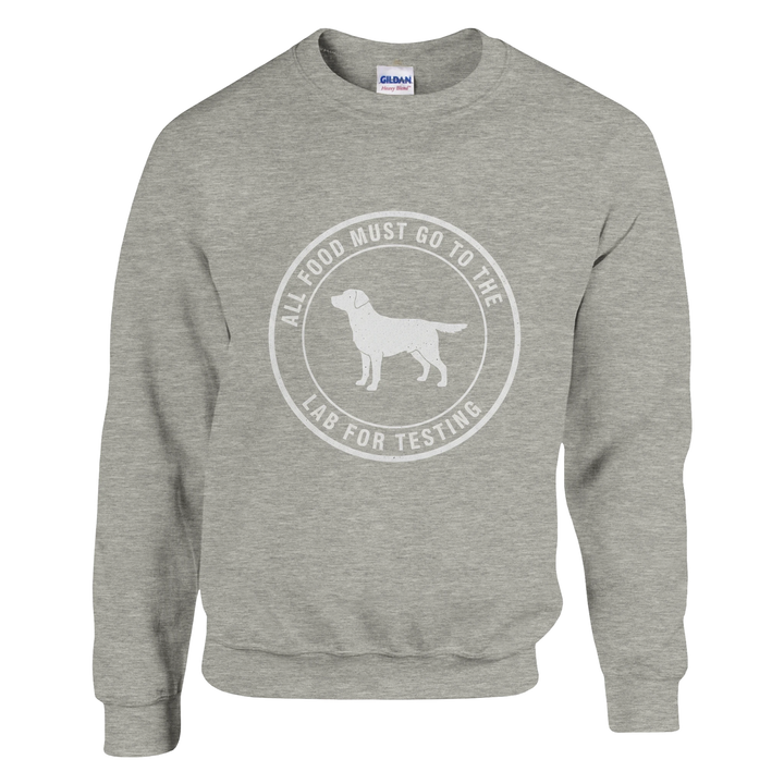 Ash - Lab For Testing sweatshirt, plain front view on white