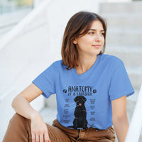 Load image into Gallery viewer, Carolina Blue - Anatomy of a Black Labrador tee, worn by a smiling woman, seated indoors
