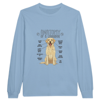 Load image into Gallery viewer, Light Blue - Anatomy of a Yellow Lab long sleeve tee, plain front view on white
