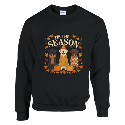 Black - Tis the Season Fall Labs sweatshirt, plain front view on white