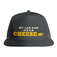 Load image into Gallery viewer, Charcoal - My Lab Can Hear Cheese trucker hat, front view on white
