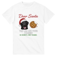 Load image into Gallery viewer, White - Dear Santa Lab tee, plain front view on white
