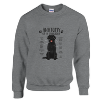 Load image into Gallery viewer, Sport Grey - Anatomy of a Black Lab sweatshirt, plain front view on white
