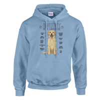 Load image into Gallery viewer, Light Blue - Anatomy of a Yellow Lab hoodie, plain front view on white
