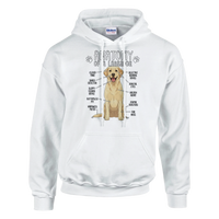 Load image into Gallery viewer, White - Anatomy of a Yellow Lab hoodie, plain front view on white
