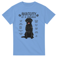 Load image into Gallery viewer, Carolina Blue - Anatomy of a Black Labrador tee, plain front view on white

