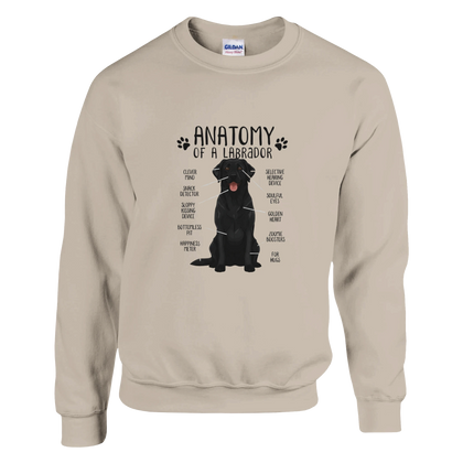 Sand - Anatomy of a Black Lab sweatshirt, plain front view on white