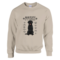 Load image into Gallery viewer, Sand - Anatomy of a Black Lab sweatshirt, plain front view on white
